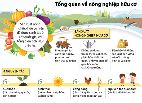 NÔNG NGHIỆP HỮU CƠ: KHI ĐẤT MỈM CƯỜI, NHÀ NÔNG MỚI CÓ THỂ CƯỜI VUI BỀN VỮNG